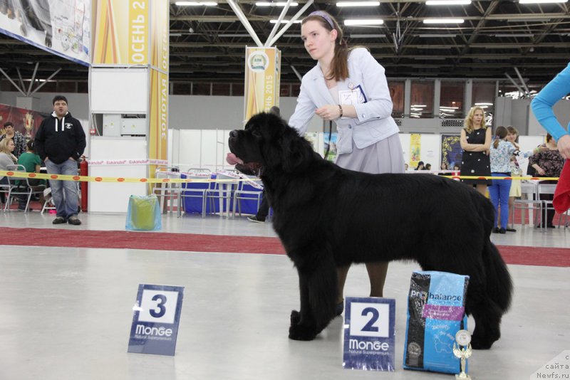 Фотография № 198034