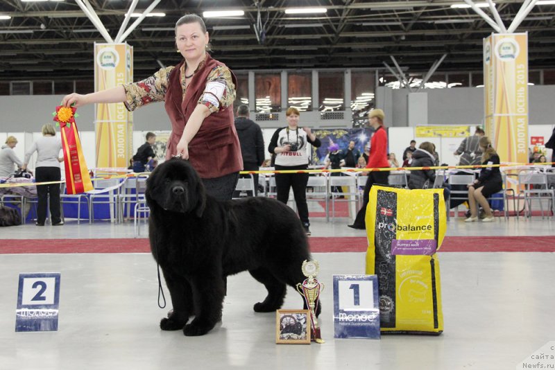 Фотография № 198035