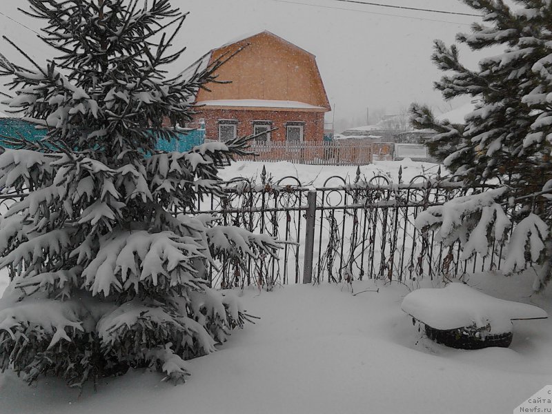 Фото: Ольга Тимофеева