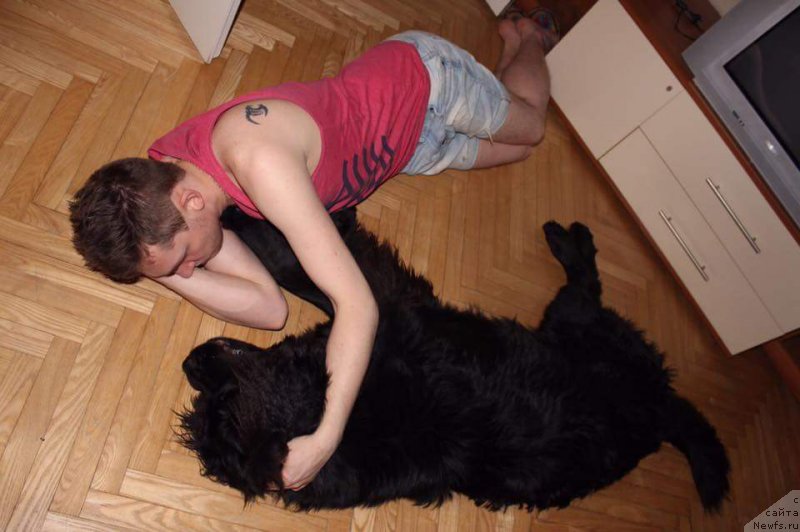 Фотография № 198045