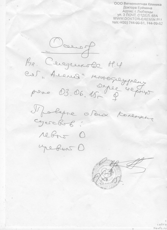 Фото: Наталья Смазчикова