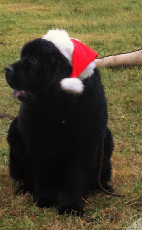 Фотография № 198079