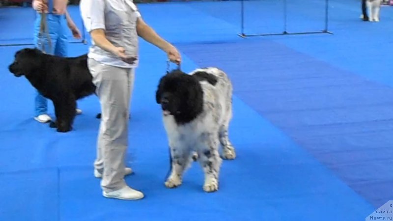 Фото: Елена Акимова