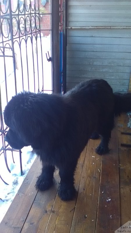 Фото: Ольга Тимофеева