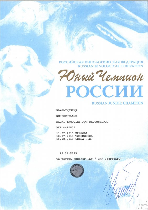 Фото: ньюфаундленд Наоми Таголири фор Браунблад (Naomi Tagoliri for Brouwnblood)