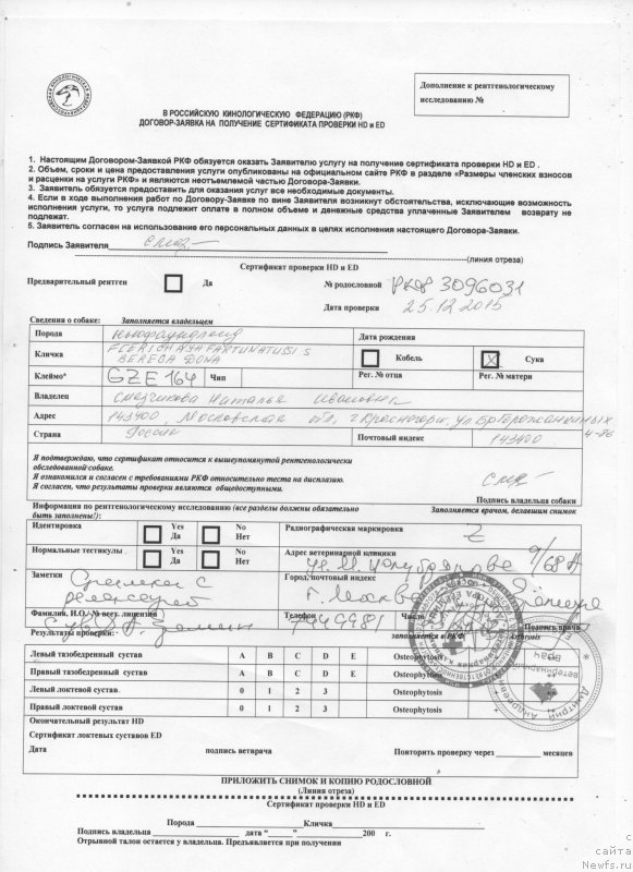 Фото: Наталья Смазчикова