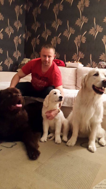 Фотография № 198180