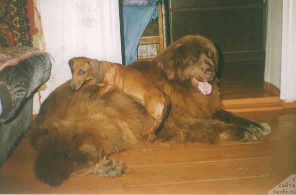 Фотография № 19824