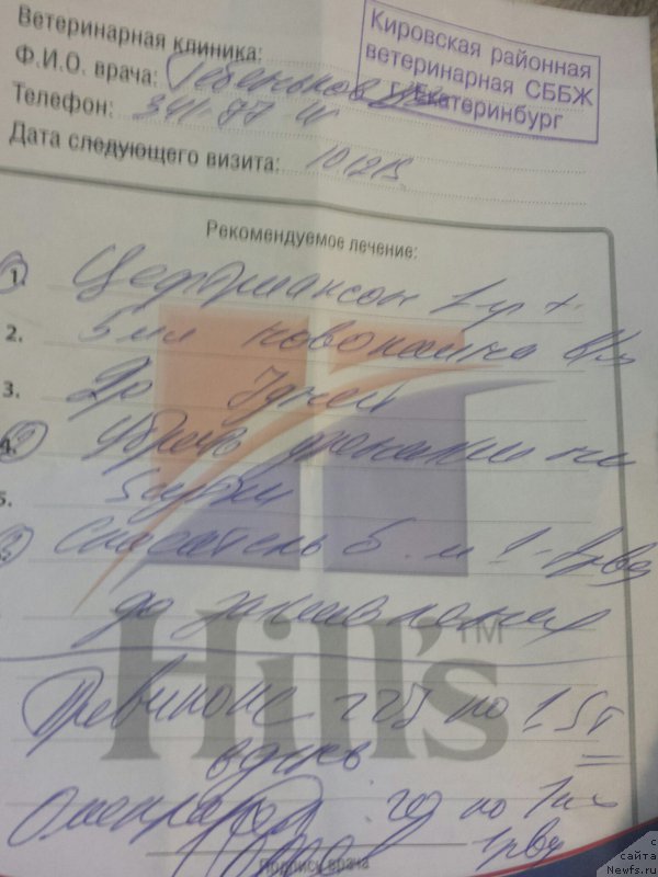 Фотография № 198268