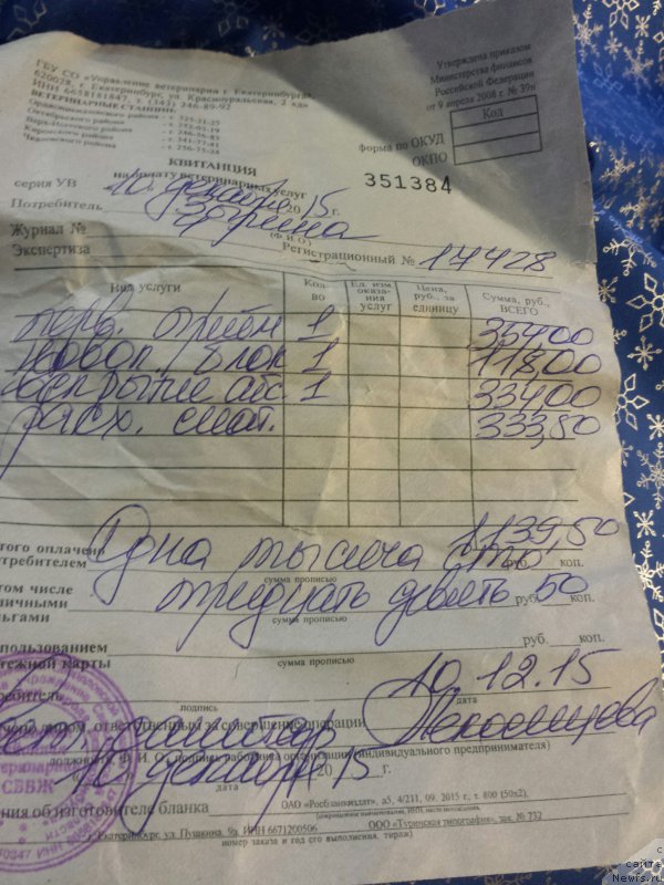 Фотография № 198269