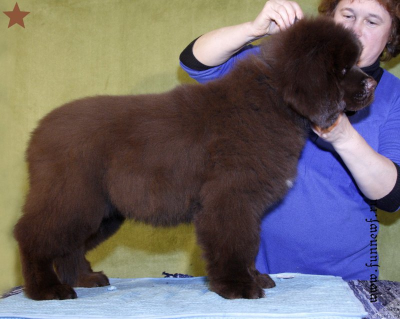 Фотография № 198285