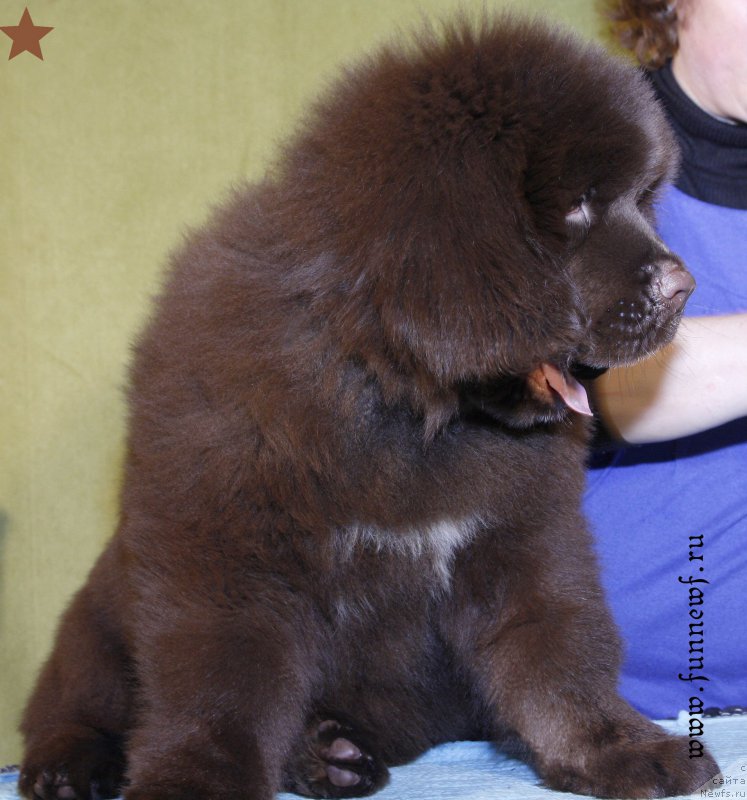 Фотография № 198288