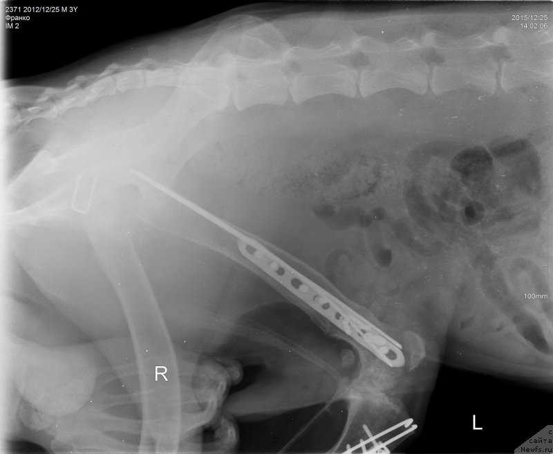 Фотография № 198290
