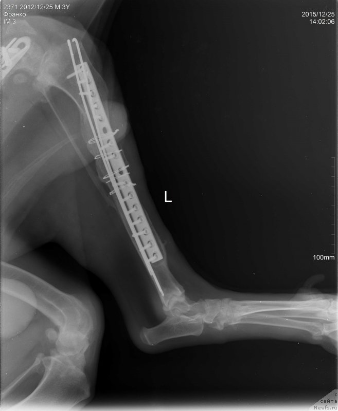 Фотография № 198291