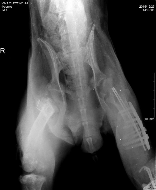 Фотография № 198292