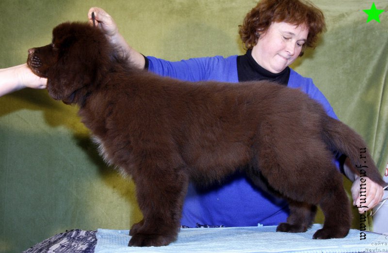 Фотография № 198308