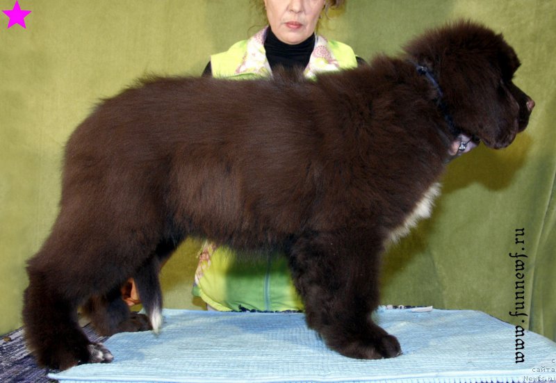 Фотография № 198318