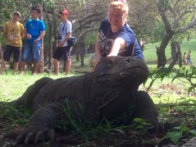 Фотография № 198321