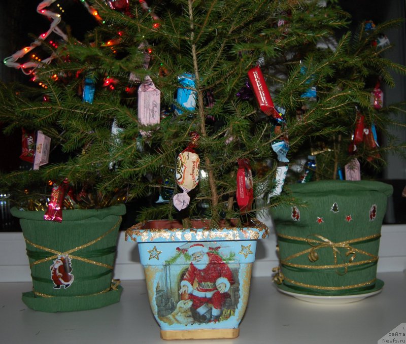 Фотография № 198327