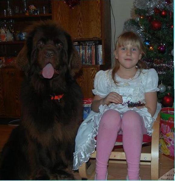 Фотография № 198329