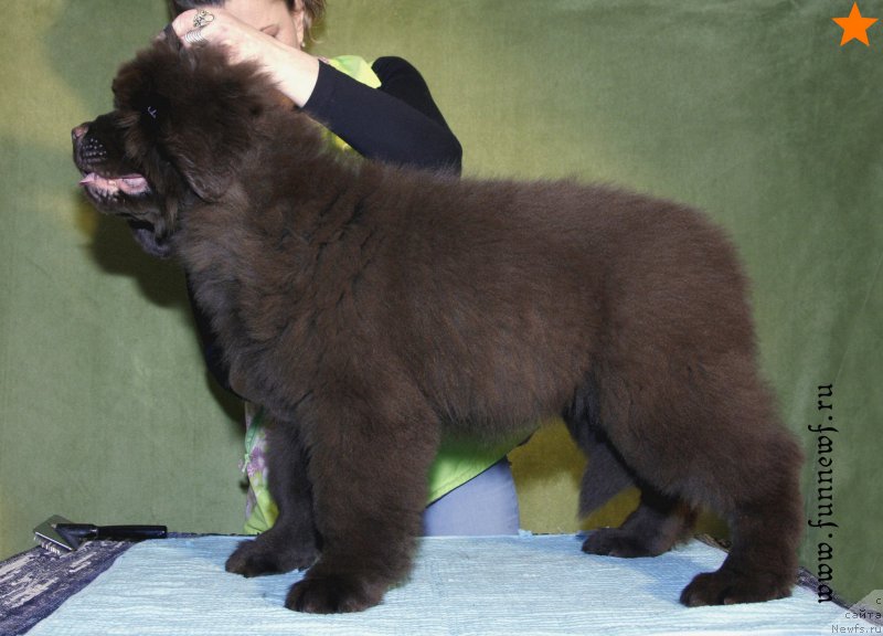 Фотография № 198338