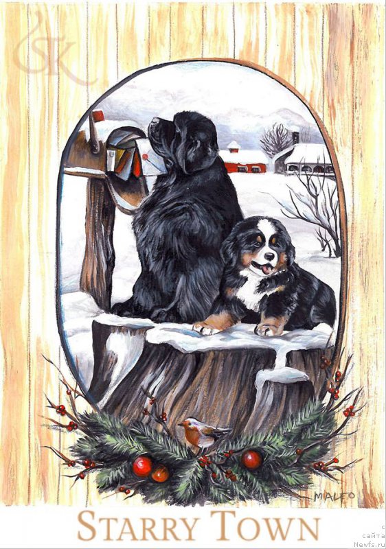 Фотография № 198346