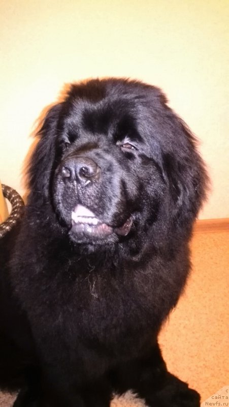 Фотография № 198349