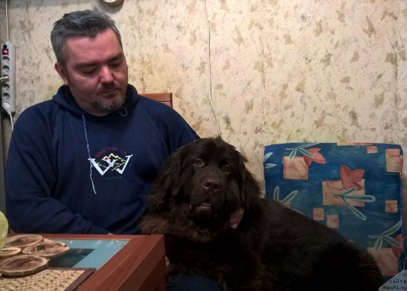 Фотография № 198358