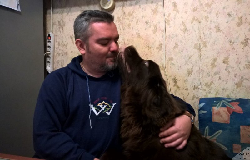 Фотография № 198360