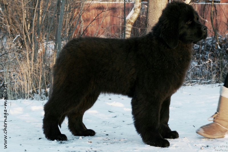 Фотография № 198366