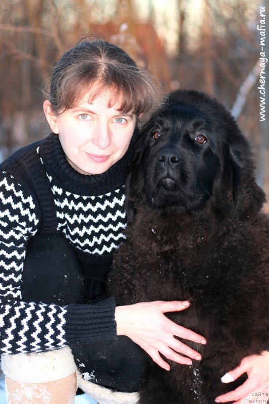 Фотография № 198372