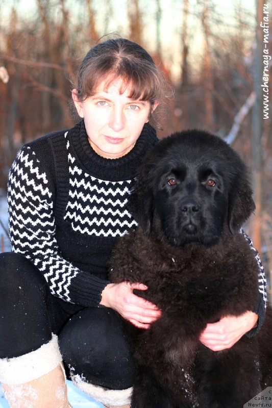 Фотография № 198373