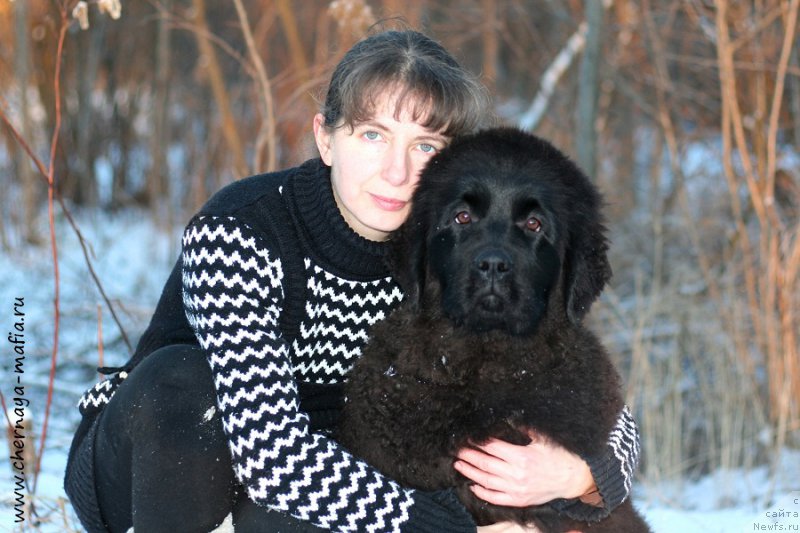 Фотография № 198374