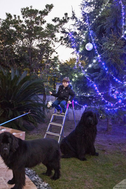 Фотография № 198388