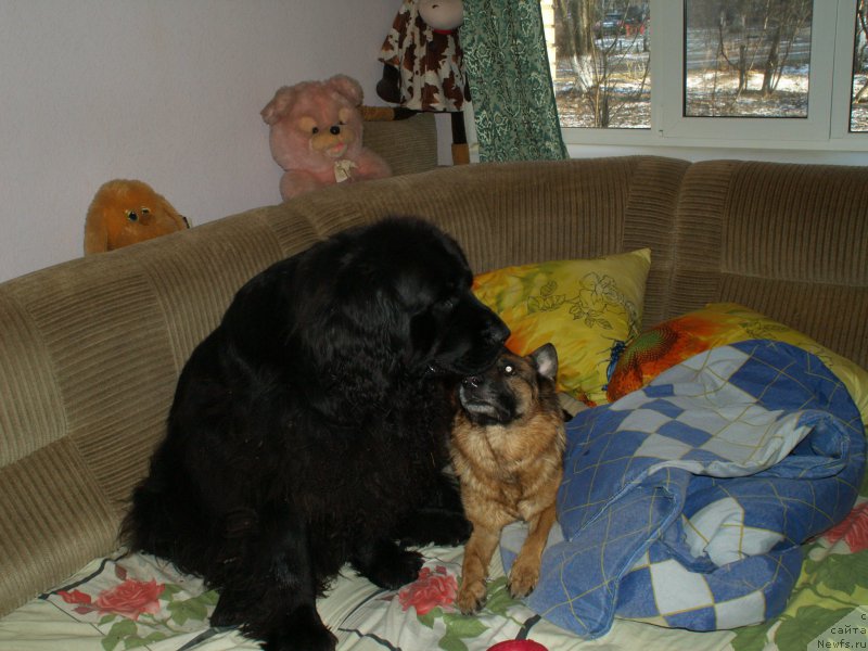 Фотография № 198394