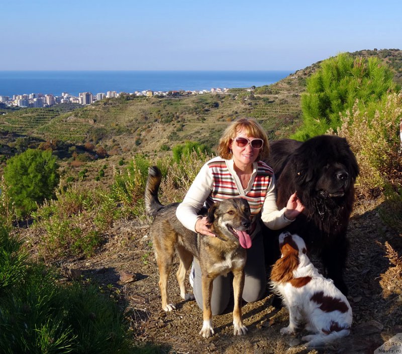 Фотография № 198397