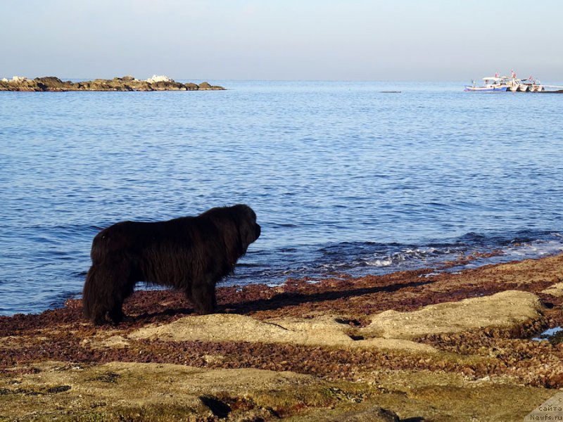 Фотография № 198401