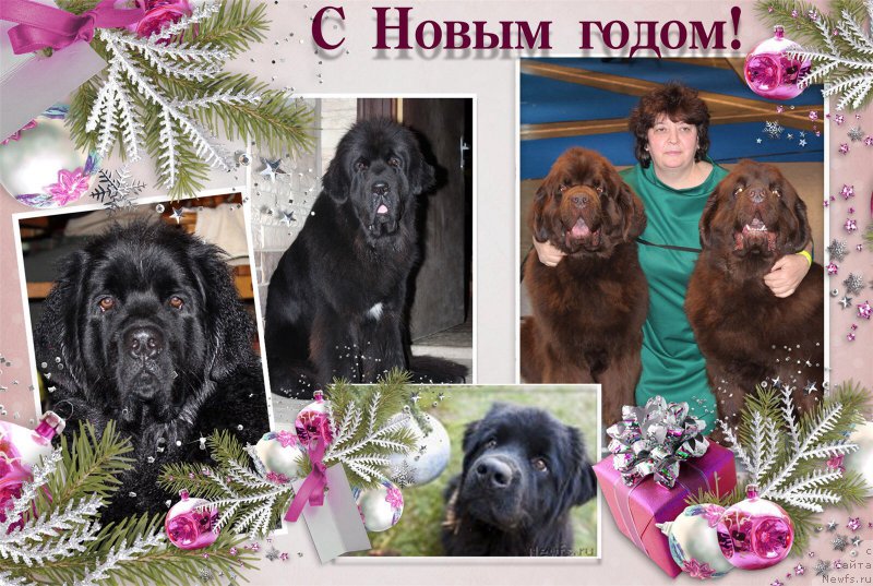 Фотография № 198403