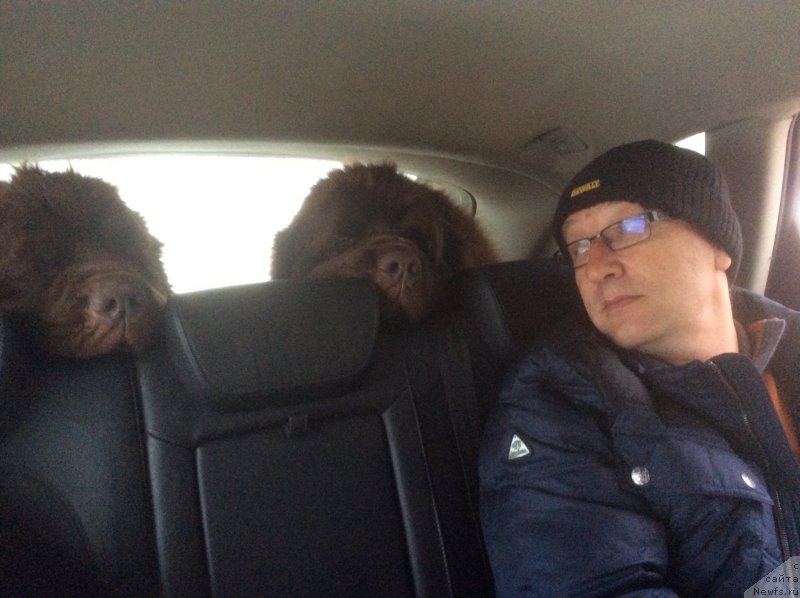 Фотография № 198405