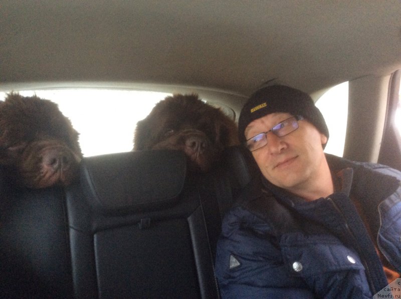 Фотография № 198406