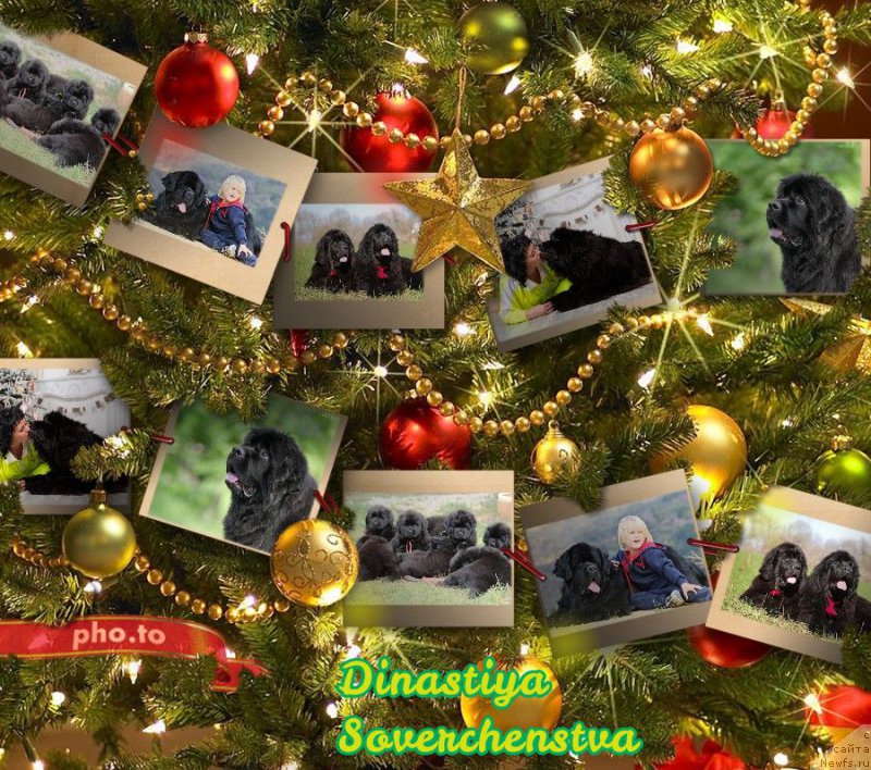 Фотография № 198420