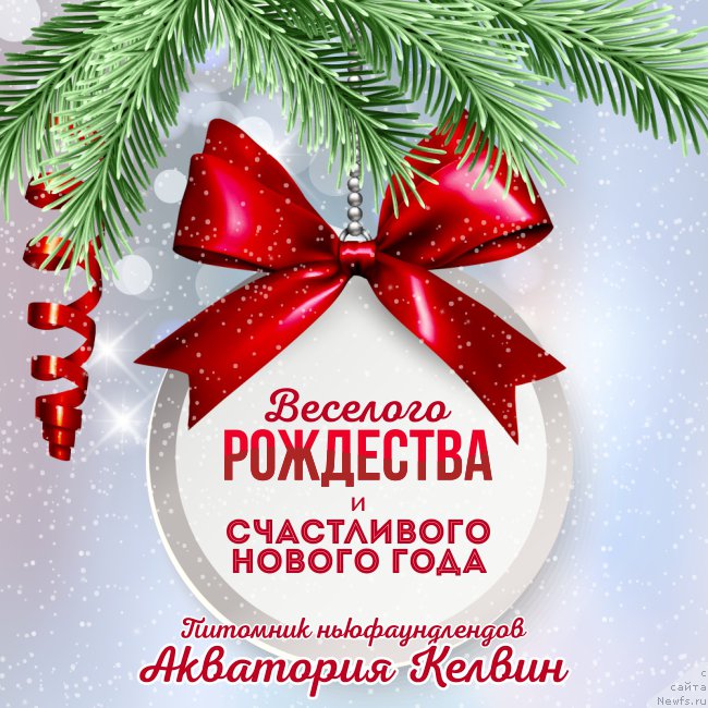 Фотография № 198424