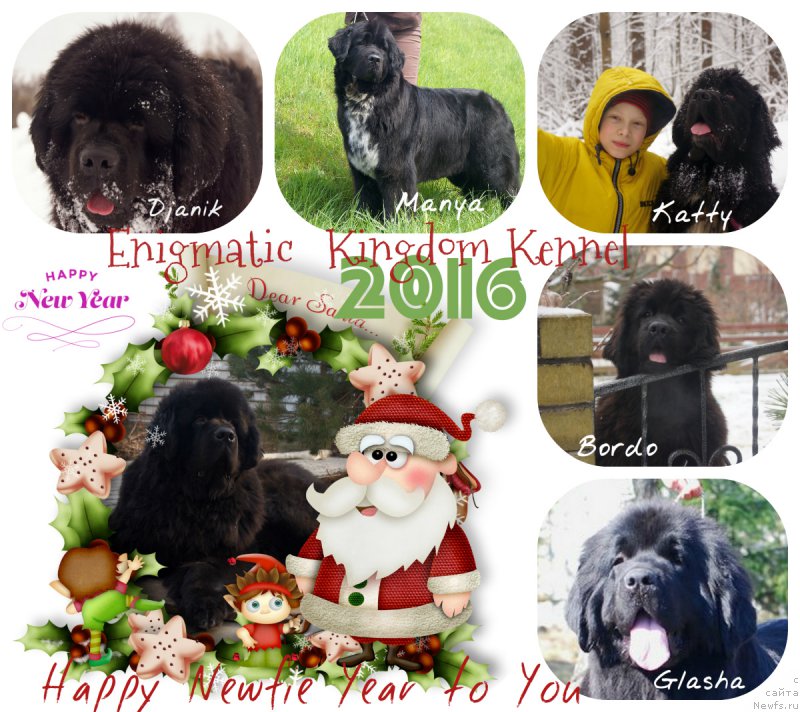 Фотография № 198426