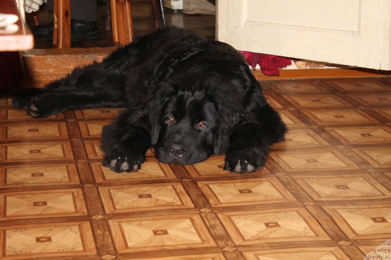 Фото: Александр Крючков