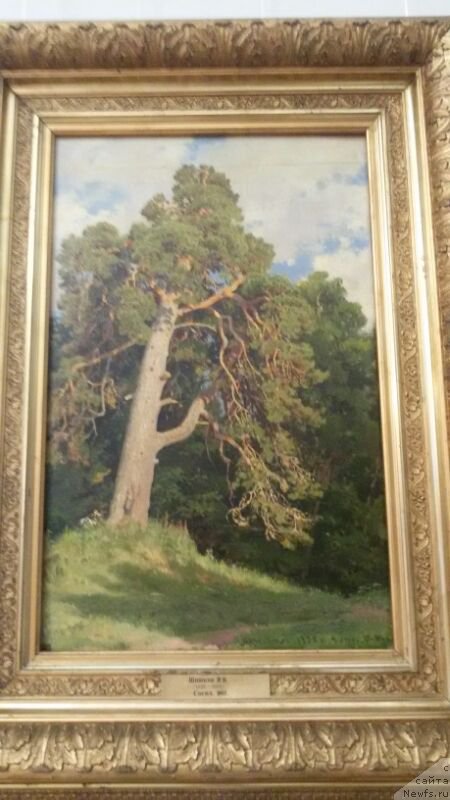 Фотография № 198464