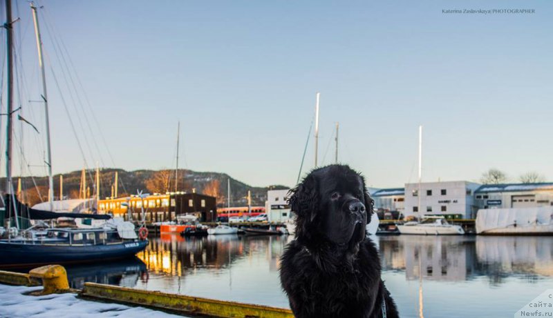 Фотография № 198471