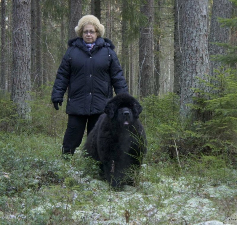 Фотография № 198486