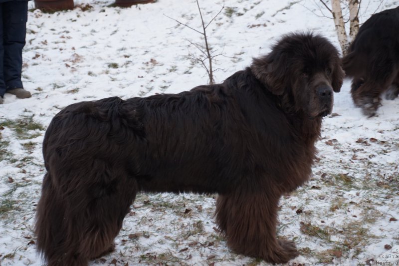 Фотография № 198508