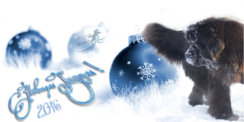 Фотография № 198511