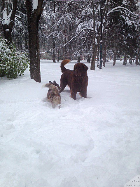 Фотография № 198518